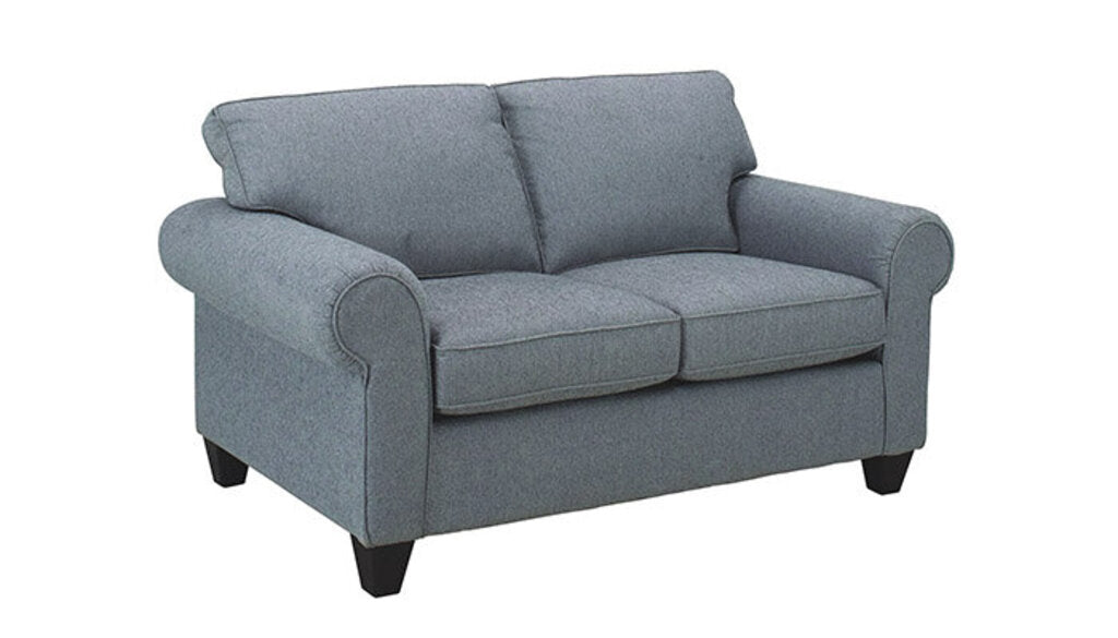 Consigned Sleeper Loveseat