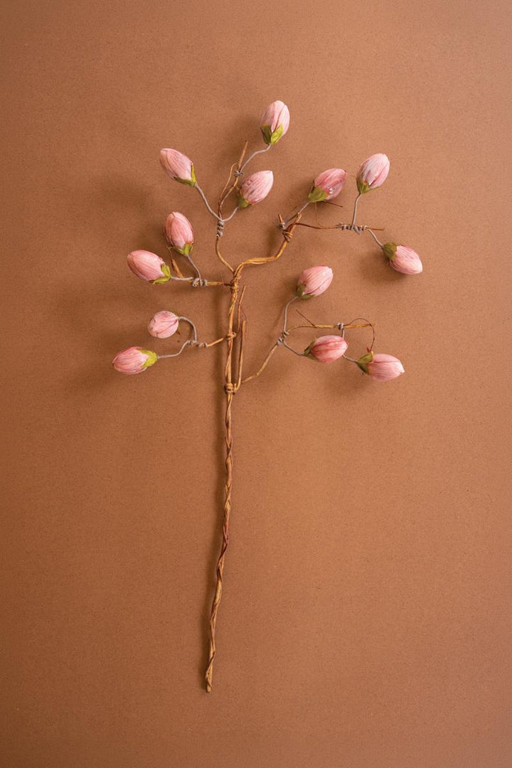 Faux Pink Bulbs, 36-Inch Stem — What's New Furniture Portland