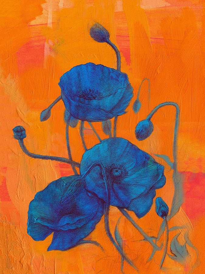 Papaver Rhoeas Canvas Wall Art, 12" x 16" by Studio Select Art - product view - Whats New Furniture Portland OR