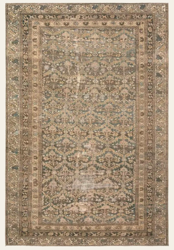 Rug in Safari in Safari - power-loomed area rug by Jaipur Living - Whats New Furniture Portland OR
