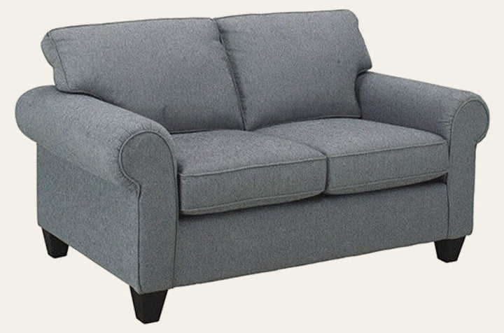 Consigned Sleeper Loveseat - Whats New Furniture - Portland, Oregon