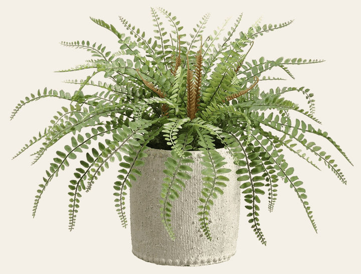Sword Fern in Cement Container in cement - faux sword fern in cement pot - Whats New Furniture Portland OR