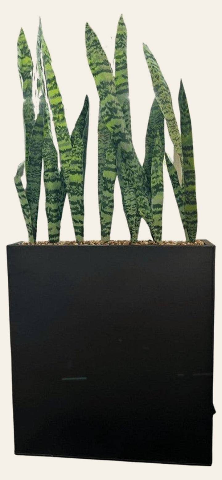 Faux Mother Tongue Plant - What's New Furniture Portland Oregon