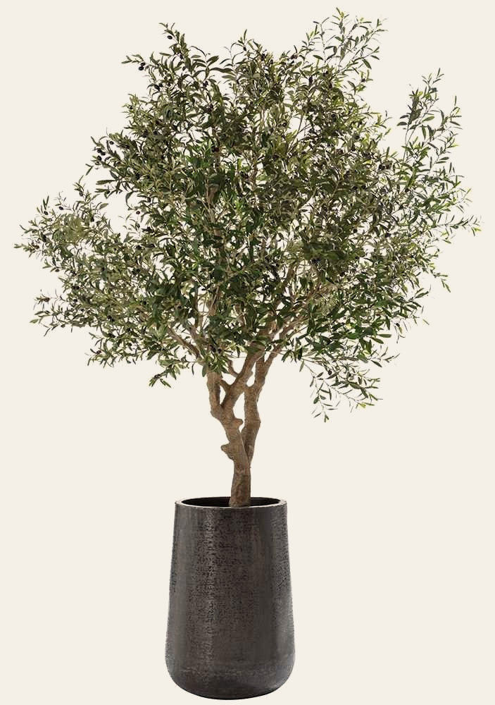 118" Olive Tree in Aluminum Planter by Allstate Floral - product view - Whats New Furniture Portland OR