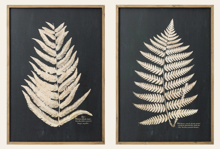 Laser-Cut Fern Framed Wall Art, Cream & Black, 39", 2 Styles front view - wall art by Creative Co-Op - Whats New Furniture Portland OR