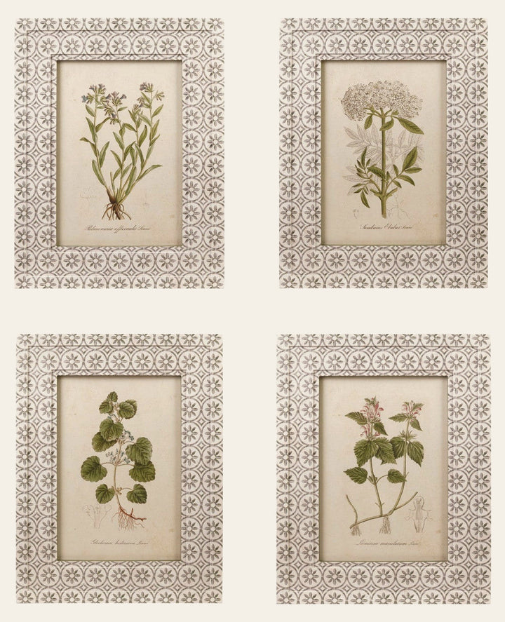 Framed Vintage Botanical Wall Art, Green & White, 4 Styles front view - wall art by Creative Co-Op - Whats New Furniture Portland OR