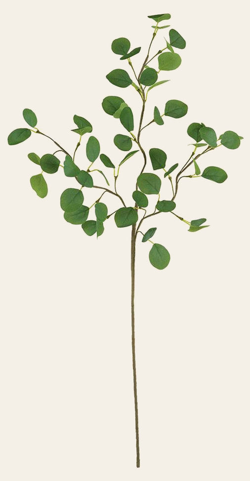 Botanica Silver Dollar Eucalyptus Stem on a studio background - faux plants by Kalalou - Whats New Furniture Portland OR