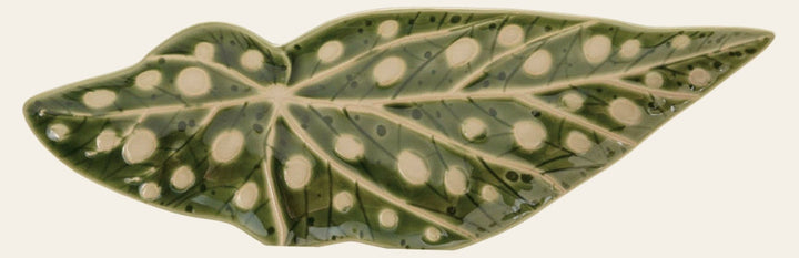 Stoneware Leaf Shaped Plate in green with cream wax-relief spots, top view - serveware by Creative Co-Op - Whats New Furniture Portland OR