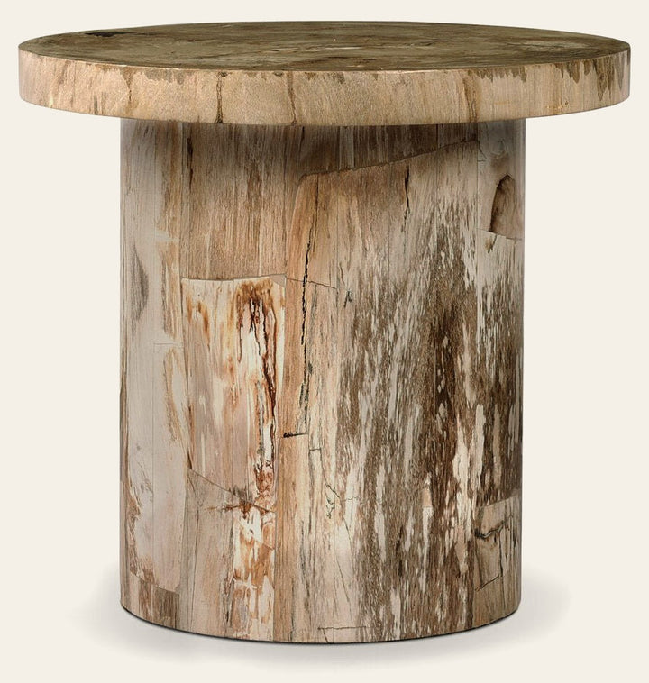 Aida End Table in Light Petrified Wood front studio view - Whats New Furniture Portland OR