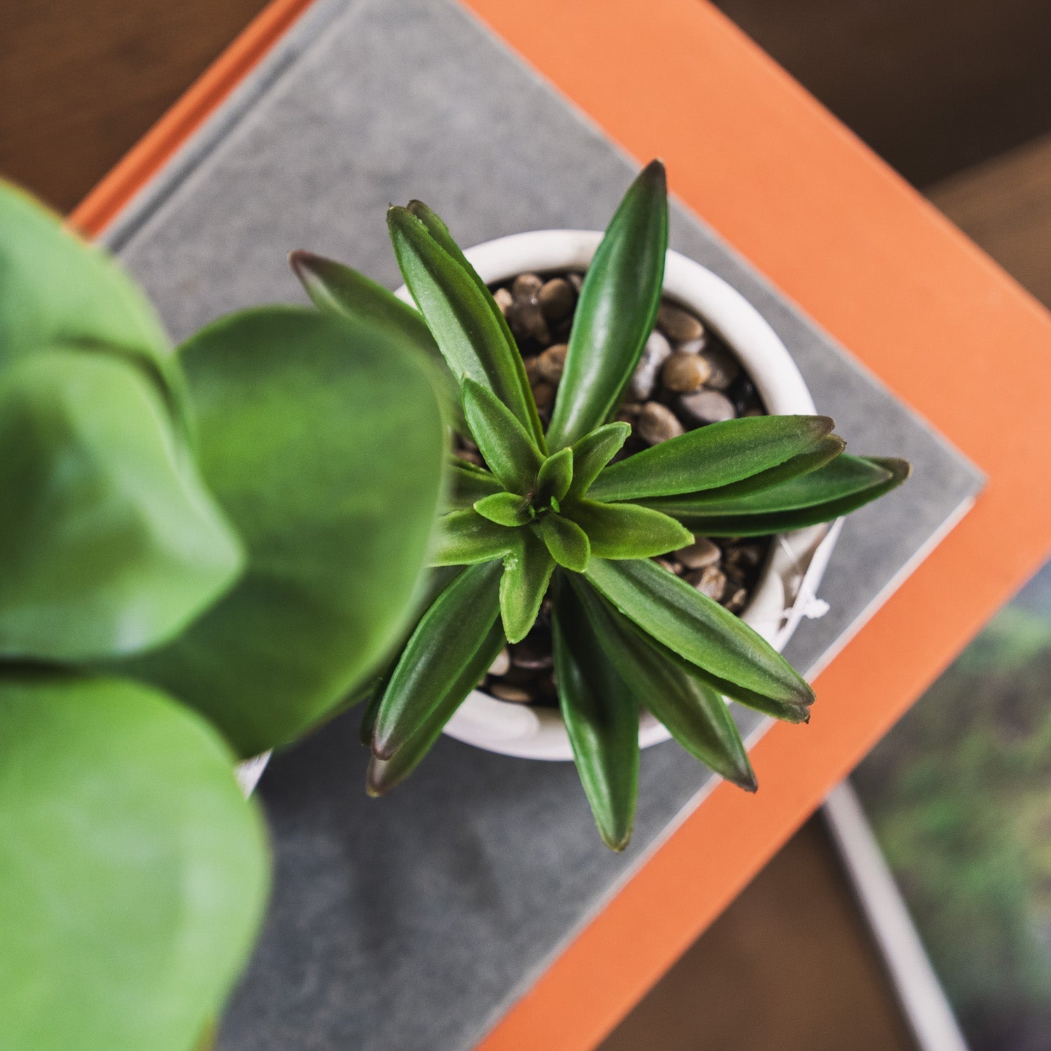 Spring Furniture Styling — What's New Furniture Portland