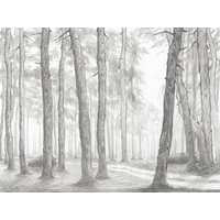 Where the Path Twists II Canvas Wall Art, 16" x 12" by Studio Select Art - product view