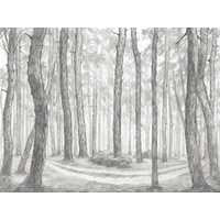 Where the Path Twists III Canvas Wall Art, 16" x 12" by Studio Select Art - product view
