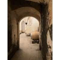 Forgotten Treasure I Canvas Wall Art, 16" x 24" by Studio Select Art - product view