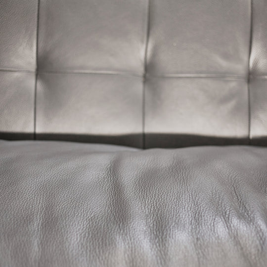 2 Piece Leather Sectional
