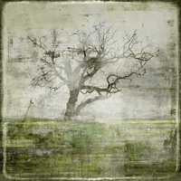 The Natural Archive III Canvas Wall Art, 30" x 30" by Studio Select Art - product view