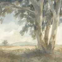 Rooted in Stillness Canvas Wall Art, 40" x 40" by Studio Select Art - product view