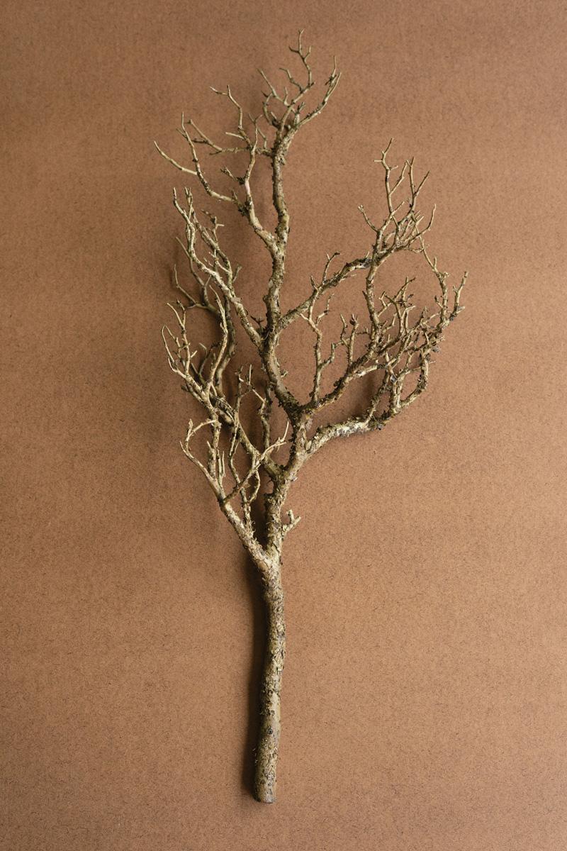 Faux bare wood branch 31 inches tall shown upright against a warm tan backdrop - artificial branch by Kalalou - Whats New Furniture Portland OR