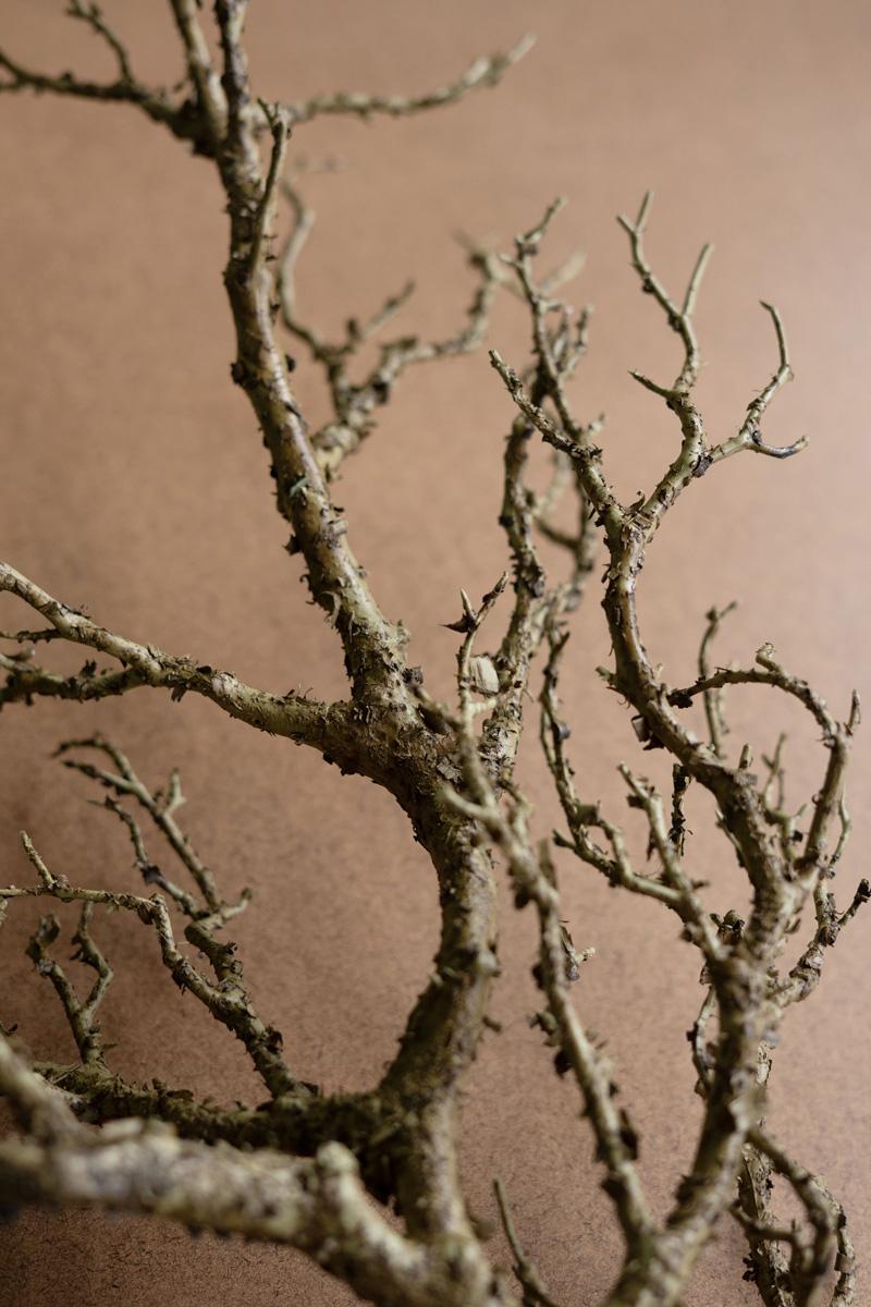 Close-up of the forked twigs and lichen-flecked bark on the faux bare wood branch - artificial branch by Kalalou - Whats New Furniture Portland OR
