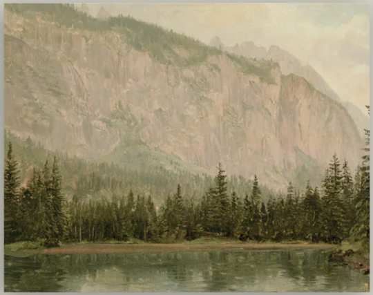 Mountain Pine Artist Board