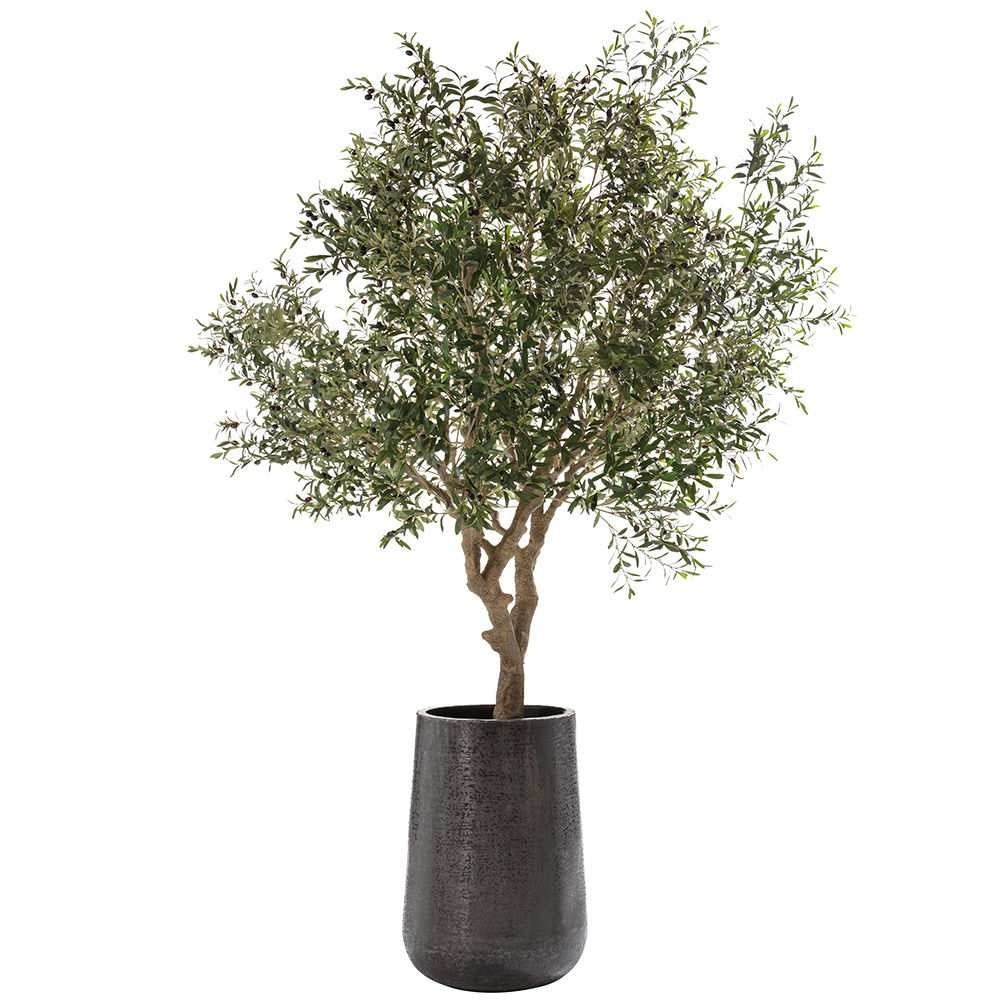 118" Olive Tree in Aluminum Planter by Allstate Floral - product view