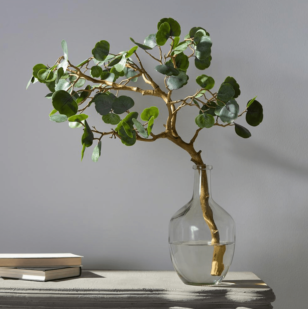 Cotinus Branch in Glass Bottle - What&