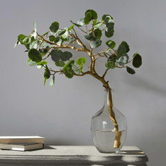 Cotinus Branch in Glass Bottle - What&