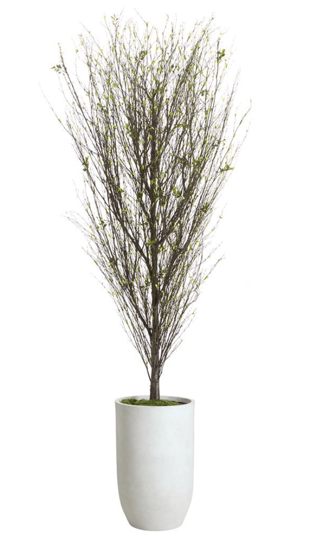 Mini Leaf Twig Tree in Cement Pot - What&