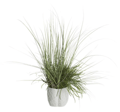 Mixed Grass/Driftwood in Coral Vase - What&