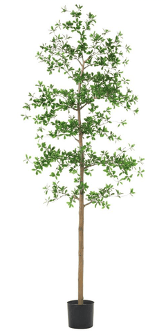 Shady Lady Tree with Shapeable Trunk in Pot - back view - mid-century modern decor - Whats New Furniture Portland OR