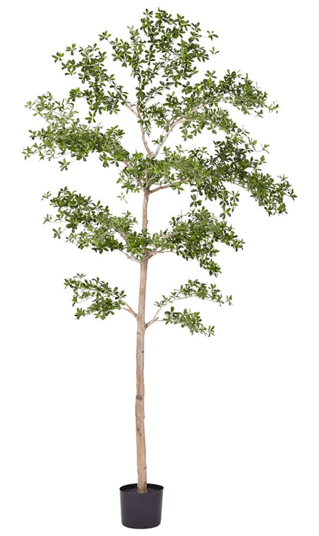 Shady Lady Faux Tree | Shapeable Trunk | 7-10 Foot Sizes – What's New ...
