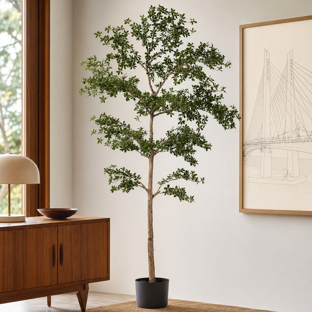 Shady Lady Tree with Shapeable Trunk in Pot styled in a bright mid-century modern Portland sunroom - Whats New Furniture