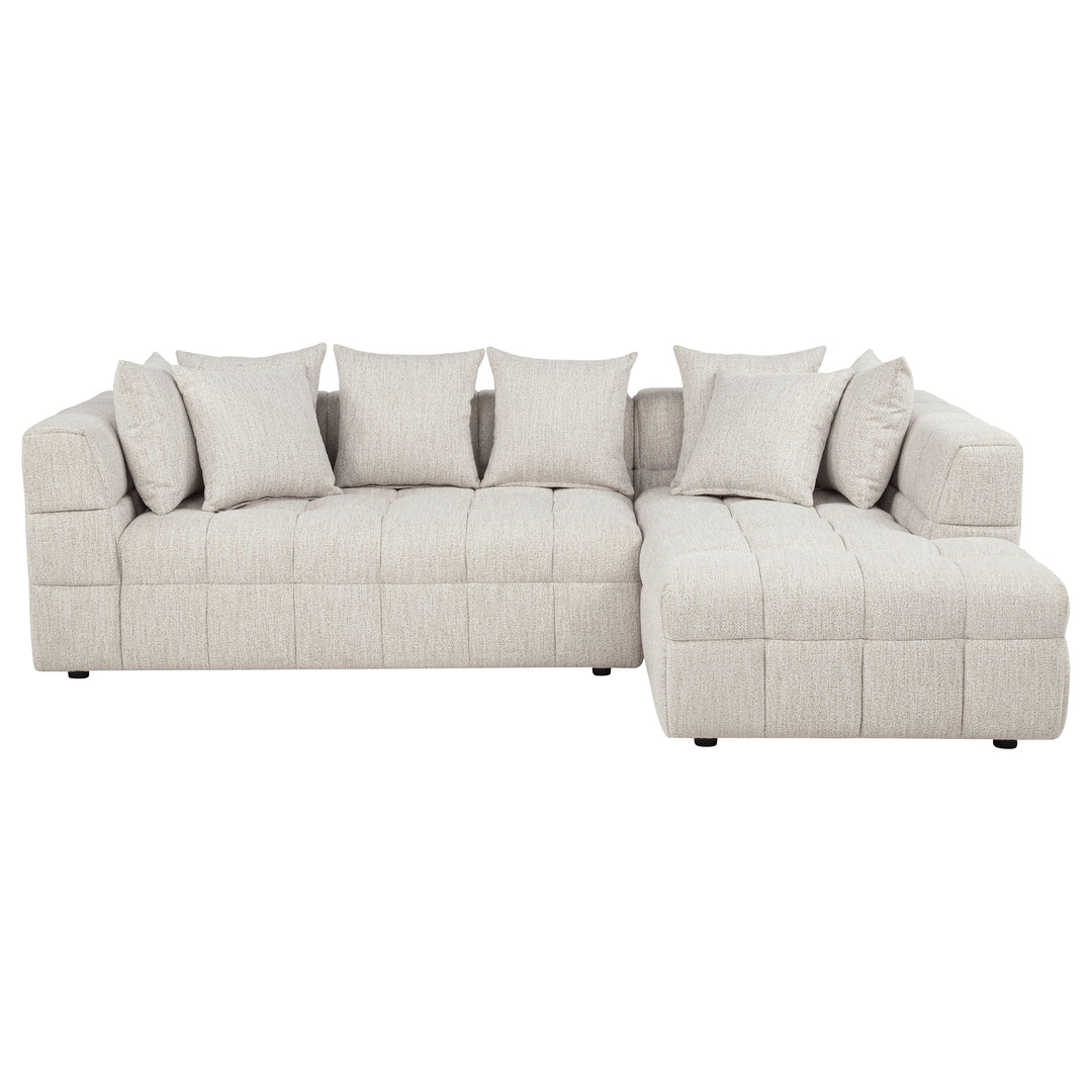Amara 2-Piece Upholstered Sectional Sofa - What&