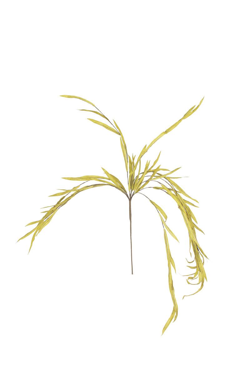Faux Arching Spray, 37-Inch Stem — view 2