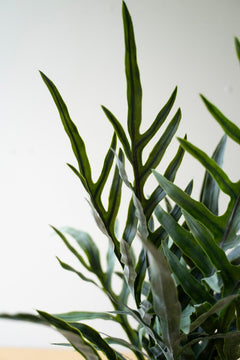Faux Fern in Pot — view 2