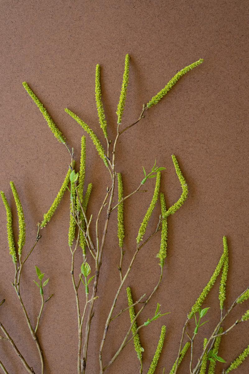Faux Green Willow Flowers Spray — view 3