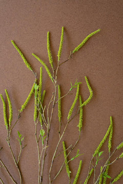 Faux Green Willow Flowers Spray — view 3