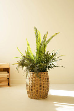 Faux Mixed Ferns in Pot — What&