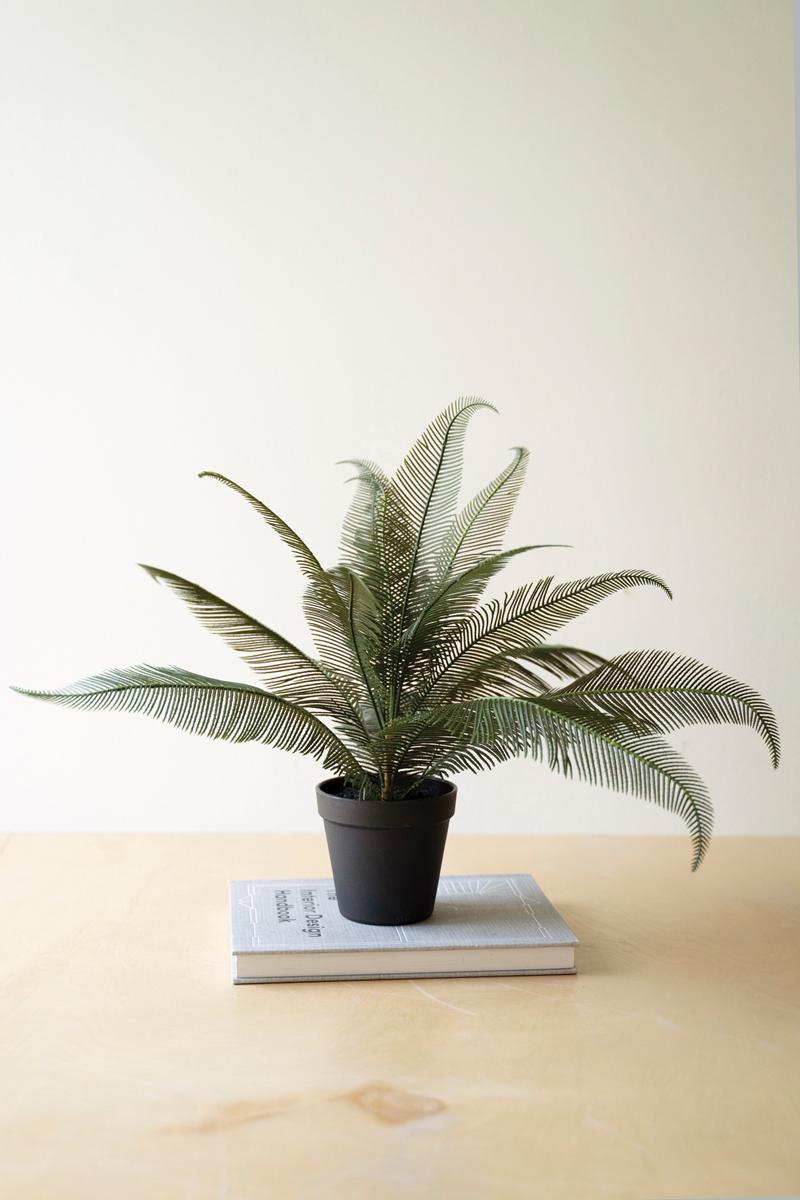 Faux Phoenix Plant in Pot — What&