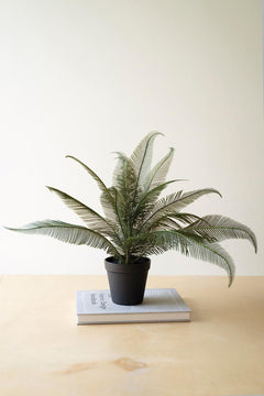 Faux Phoenix Plant in Pot — What&
