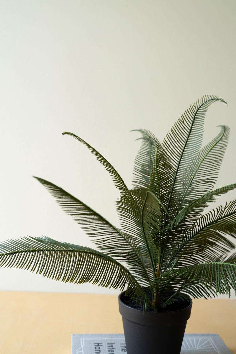 Faux Phoenix Plant in Pot — view 2