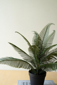 Faux Phoenix Plant in Pot — view 2
