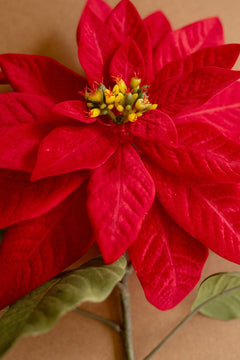 Artificial Red Poinsettia Stem bloom - faux plants by Kalalou - Whats New Furniture Portland OR
