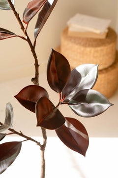 Faux Rubber Tree in Pot — view 2