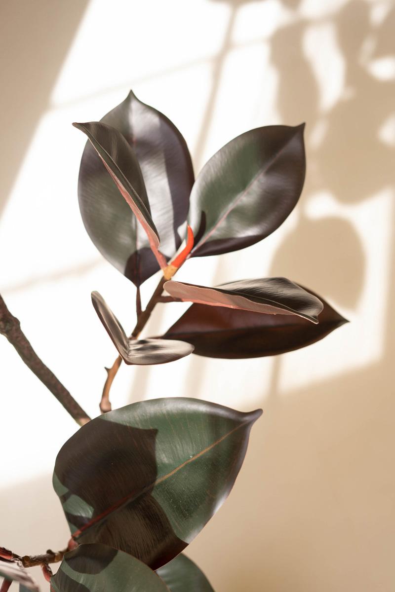 Faux Rubber Tree in Pot — view 3