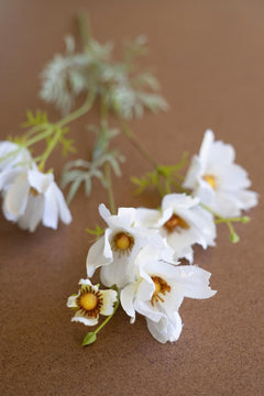 Faux White Cosmos Spray — view 4
