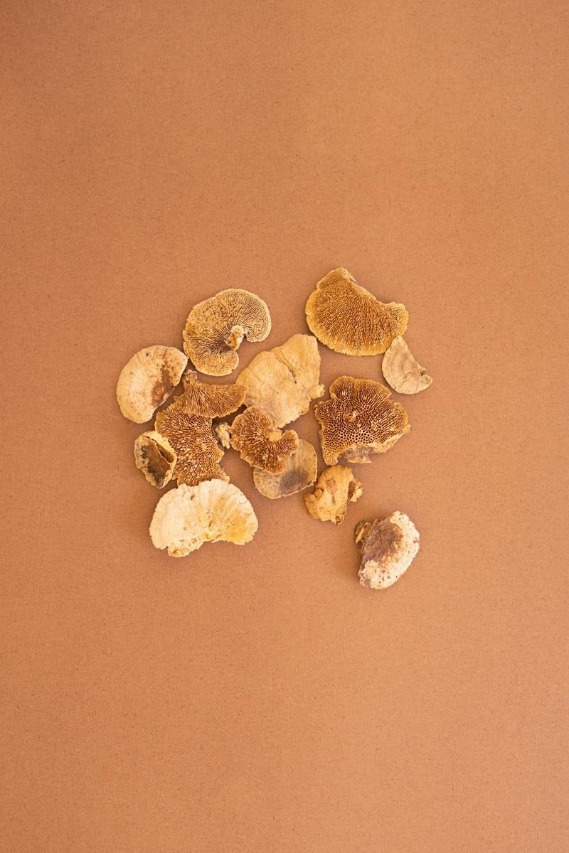 Bag of 48 Dried Sponge Mushrooms by Kalalou - alternate product view 2