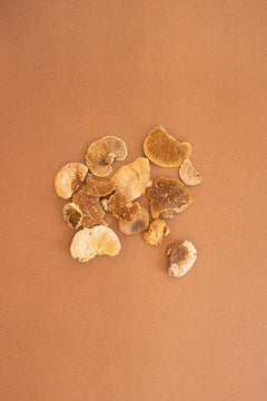 Bag of 48 Dried Sponge Mushrooms by Kalalou - alternate product view 2