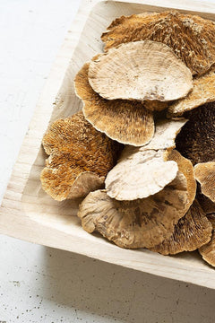 Bag of 48 Dried Sponge Mushrooms by Kalalou - alternate product view 3