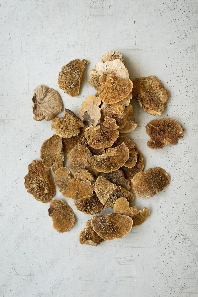 Bag of 48 Dried Sponge Mushrooms by Kalalou - alternate product view 4
