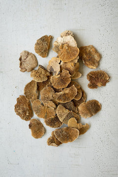 Bag of 48 Dried Sponge Mushrooms by Kalalou - alternate product view 4